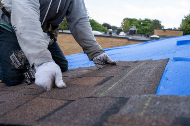 Roof Gutter Cleaning in Sugarcreek, PA